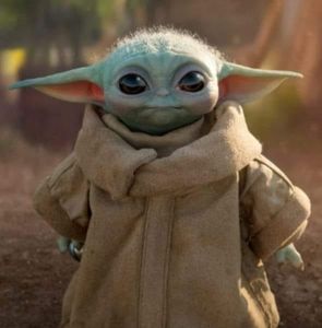 Meet your Posher, Kimmarie